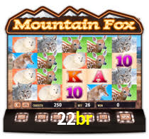 Interface Premium 22br